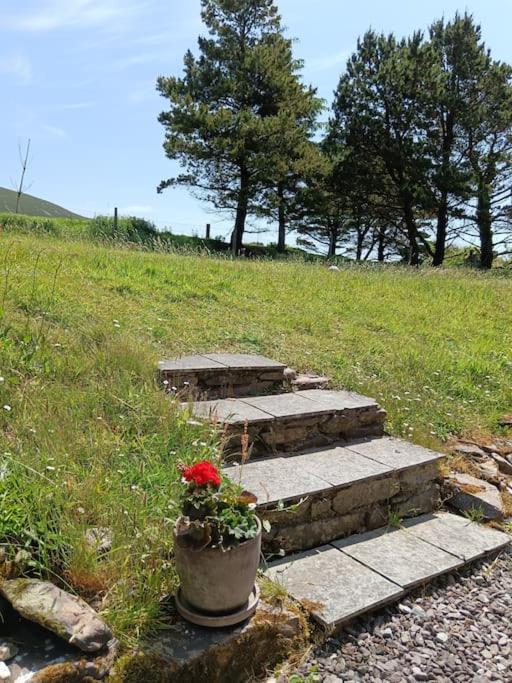 Dingle Escape -2 Bed -Sleeps 4 Exterior foto